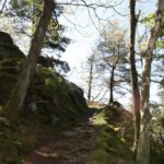 Wanderung Murgtal im Schwarzwald mit Meditation und Achtsamkeit