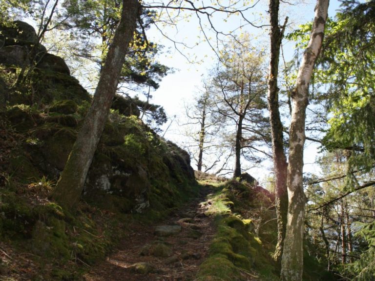 Wanderung Murgtal im Schwarzwald mit Meditation und Achtsamkeit