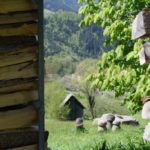 Wanderung Murgtal im Schwarzwald mit Meditation und Achtsamkeit