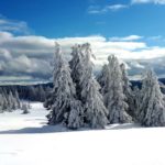 Schneeschuhwanderung, Achtsamkeit, Schwarzwald, Meditation