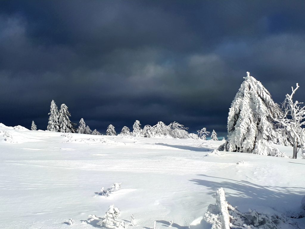 Schneeschuhwanderung, Achtsamkeit, Schwarzwald, Meditation