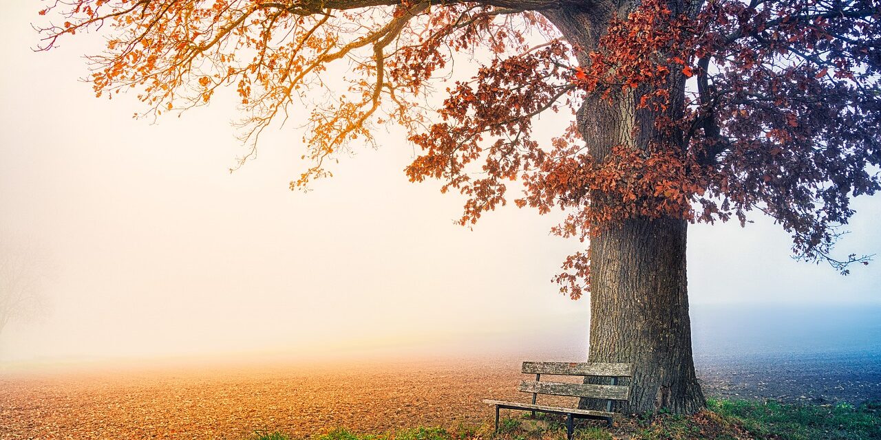Blogbeitrag zu Entspannungsübungen gegen Stress
